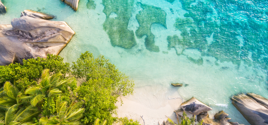 Seychelles Honeymoon